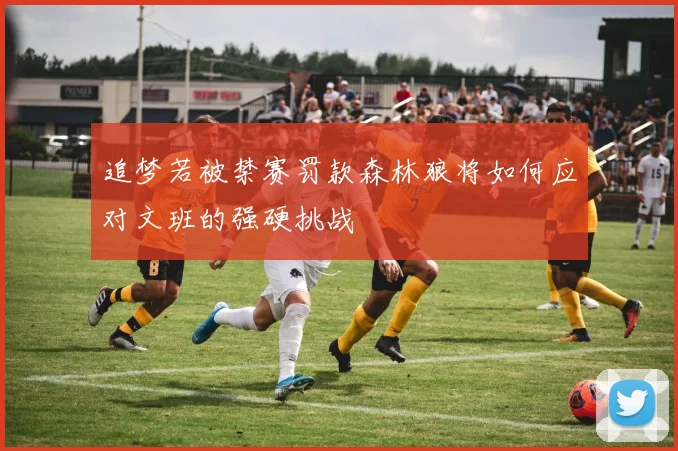 追梦若被禁赛罚款森林狼将如何应对文班的强硬挑战
