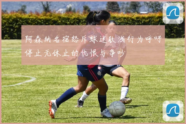 阿森纳名宿怒斥球迷肤浅行为呼吁停止无休止的仇恨与争吵